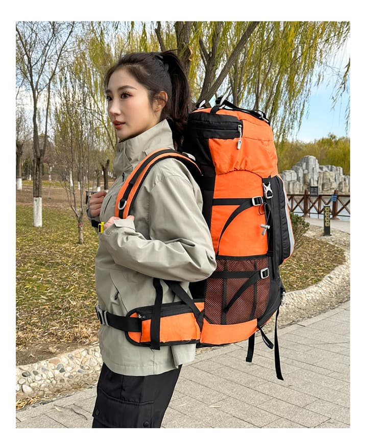 登山リュック アルパインマスター 大容量登山リュック